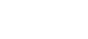 MIMO 2025